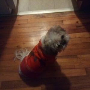 Meet your Posher, Cynthia